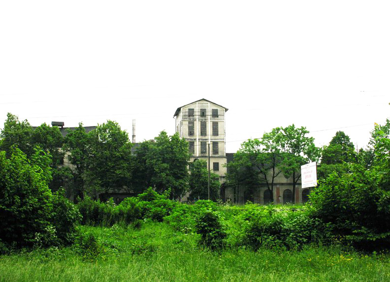 Лужани